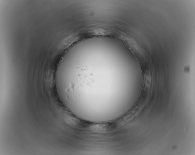 X0000096380422200802071517