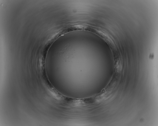 X0000096380424200802071517