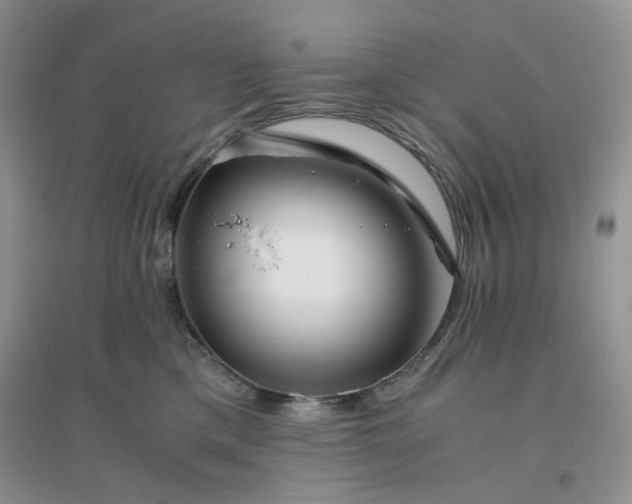 X0000096380425200802071517