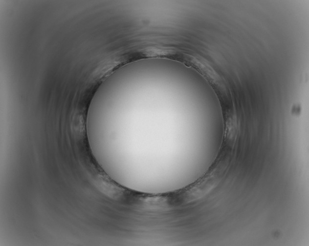 X0000096380426200802071517