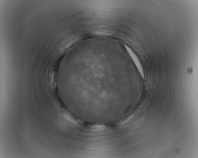 X0000096380428200802071517