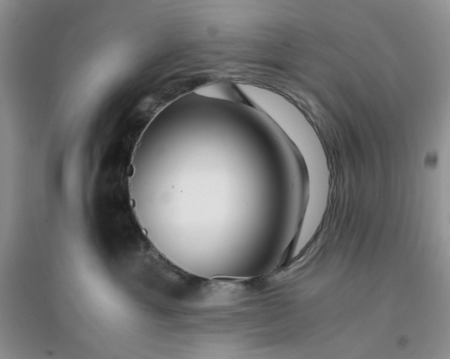 X0000096380429200802071517