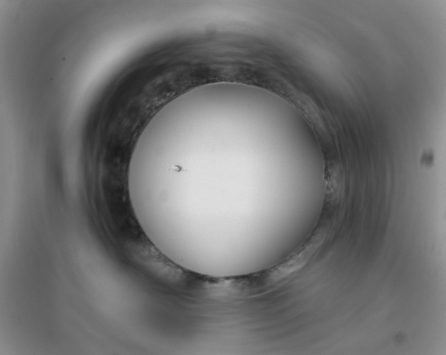 X0000096380430200802071517