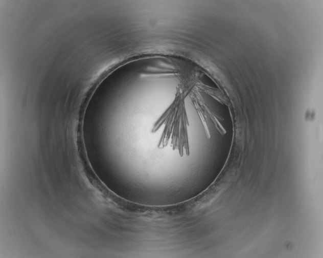 X0000096380434200802071517