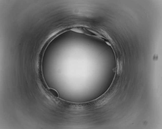 X0000096380435200802071517