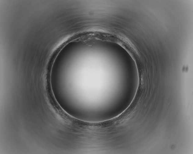 X0000096380436200802071517