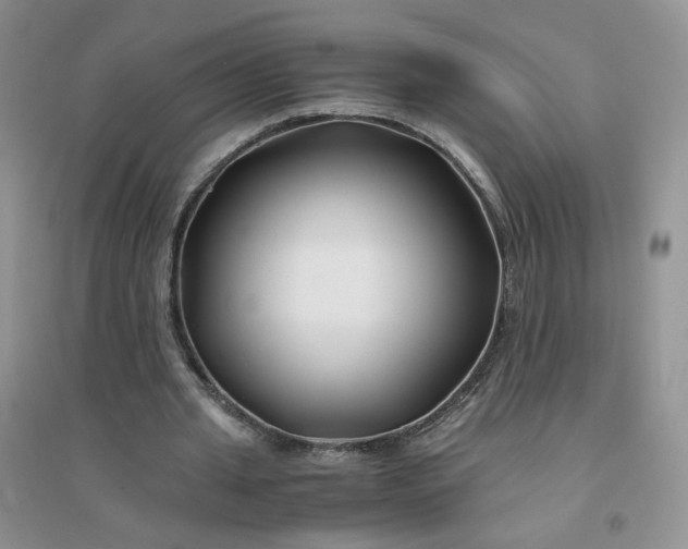 X0000096380437200802071517