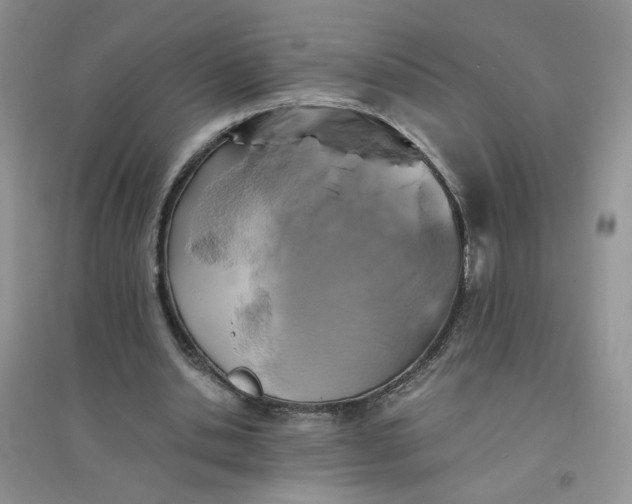 X0000096380438200802071517