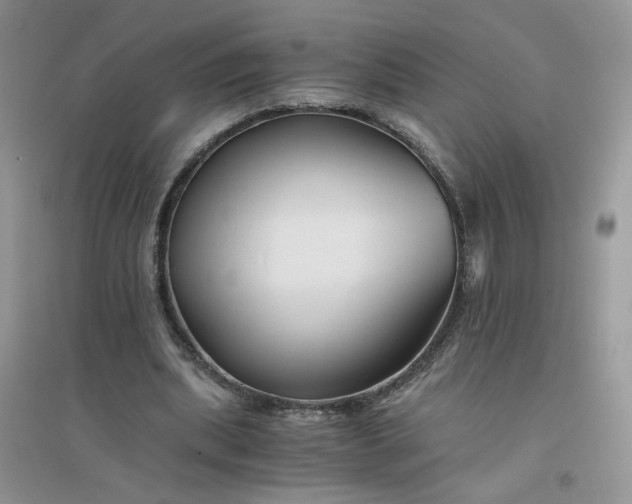 X0000096380439200802071517