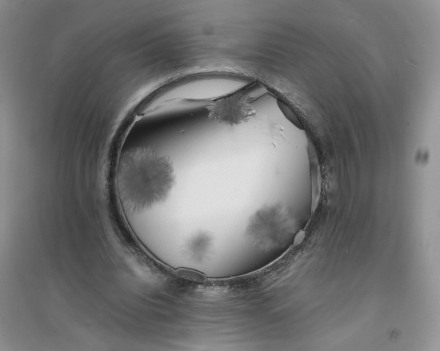 X0000096380440200802071517