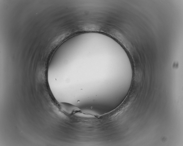 X0000096380441200802071517