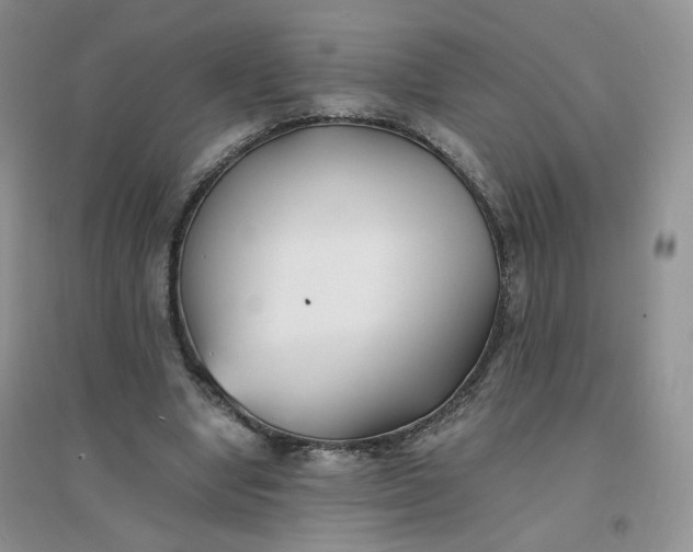 X0000096380442200802071517