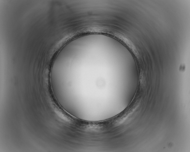 X0000096380445200802071517