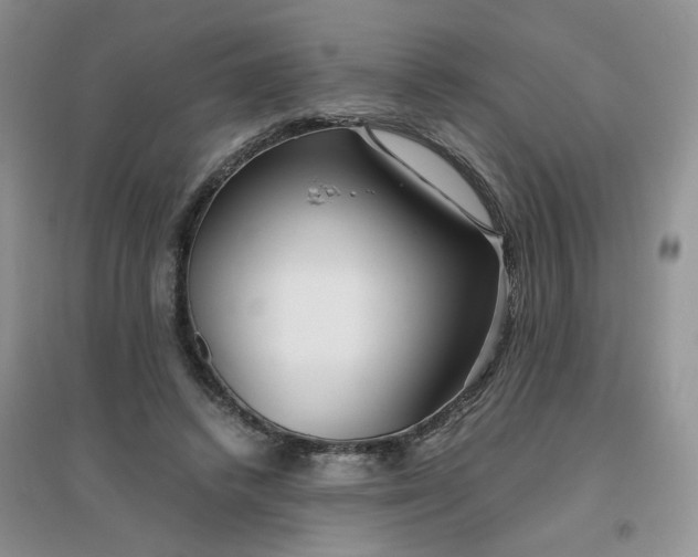 X0000096380448200802071517