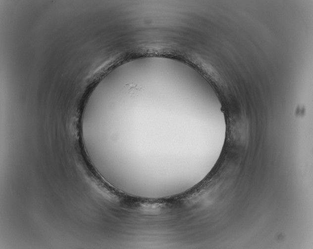 X0000096380450200802071517