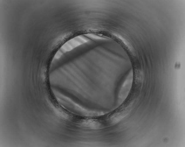 X0000096380451200802071517