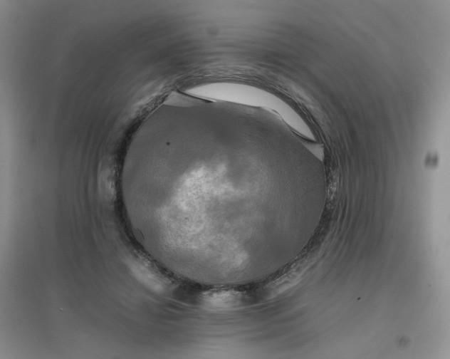 X0000096380452200802071517