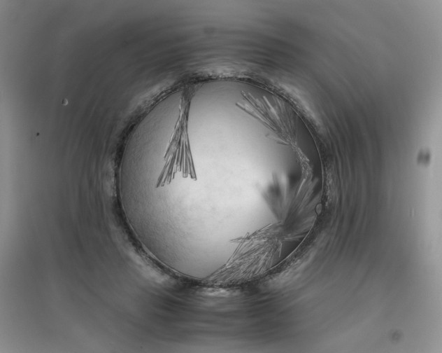 X0000096380453200802071517