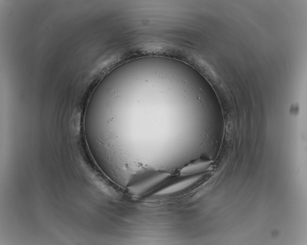 X0000096380454200802071517