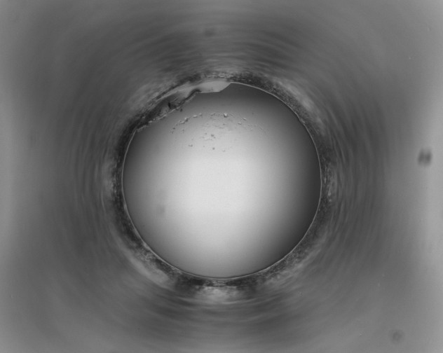 X0000096380455200802071517