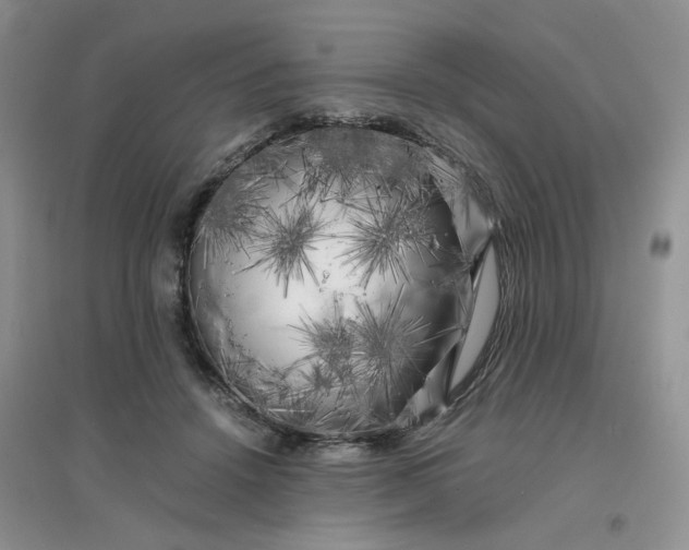 X0000096380456200802071517