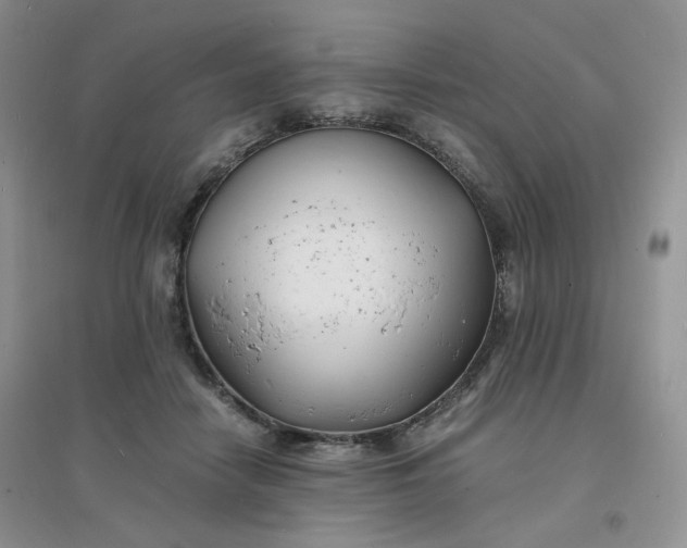 X0000096380458200802071517