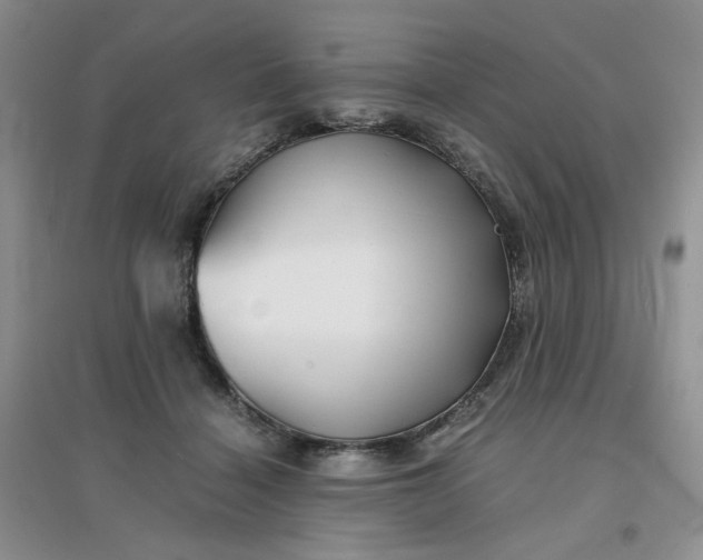 X0000096380460200802071517