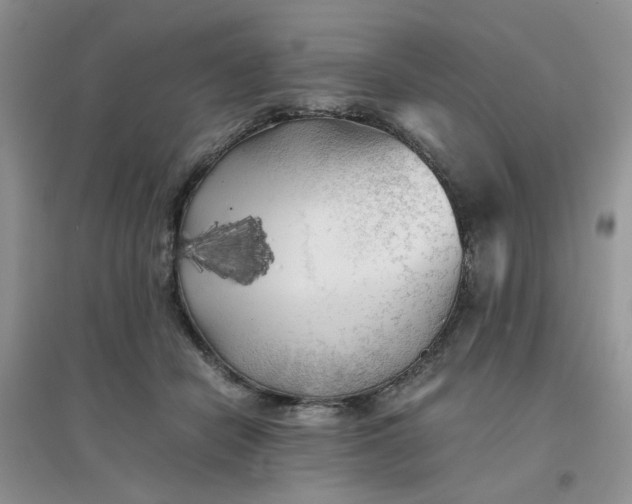 X0000096380462200802071517