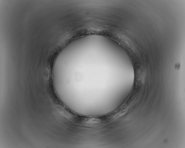 X0000096380463200802071517