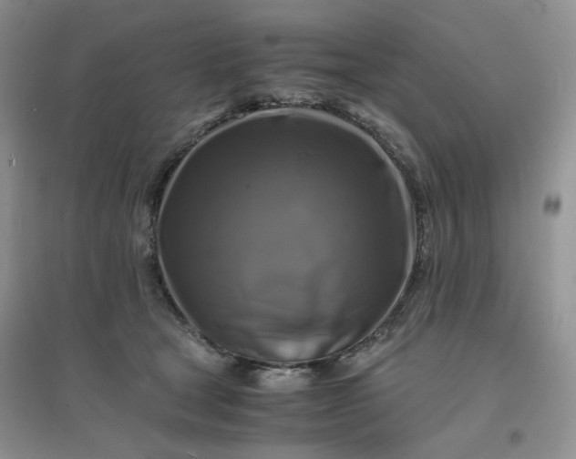 X0000096380465200802071517