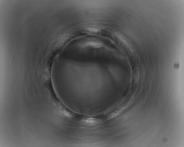 X0000096380467200802071517