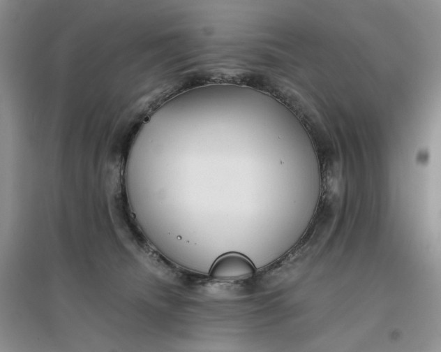 X0000096380468200802071517