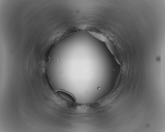 X0000096380470200802071517