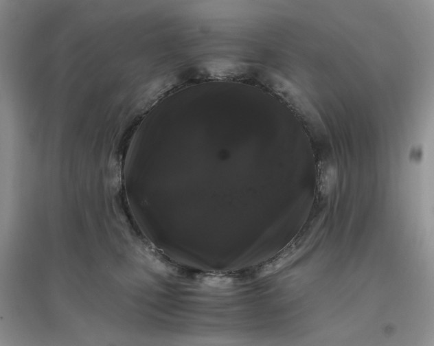 X0000096380471200802071517