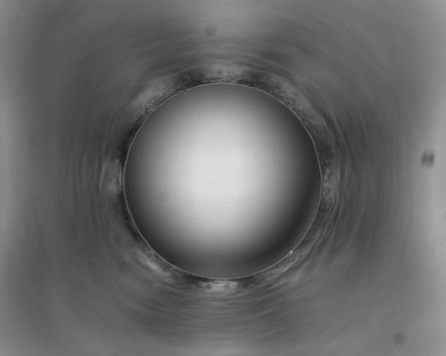 X0000096380474200802071517