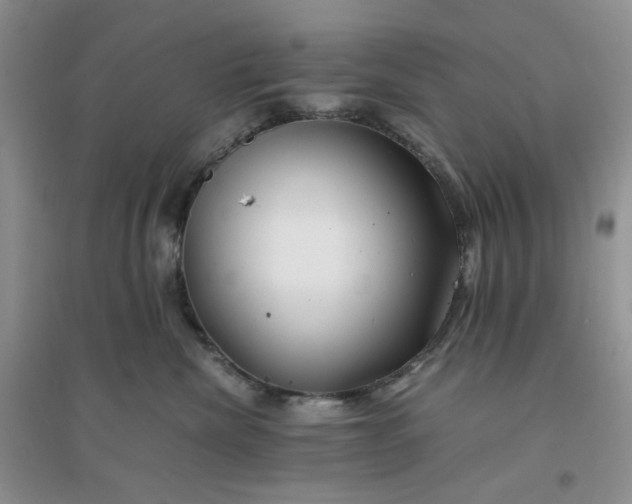 X0000096380476200802071517