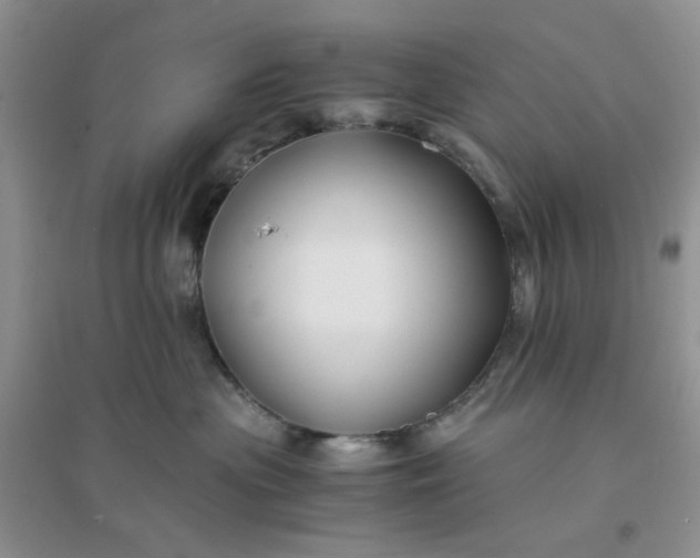 X0000096380477200802071517