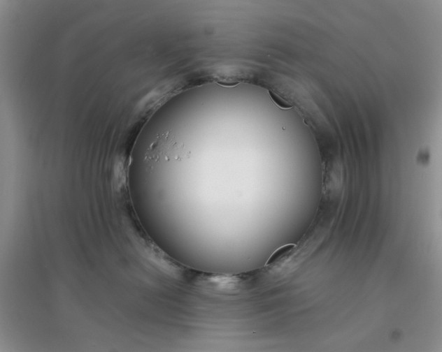 X0000096380478200802071517