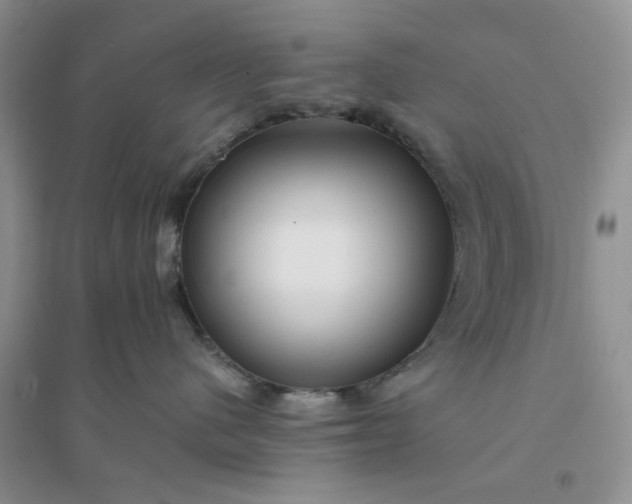 X0000096380480200802071517