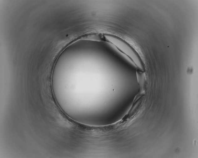 X0000096380481200802071517