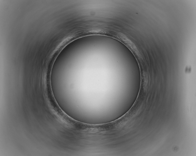 X0000096380482200802071517