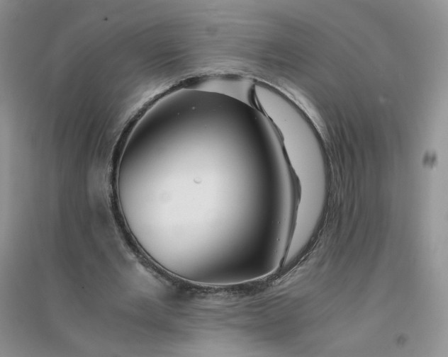 X0000096380485200802071517