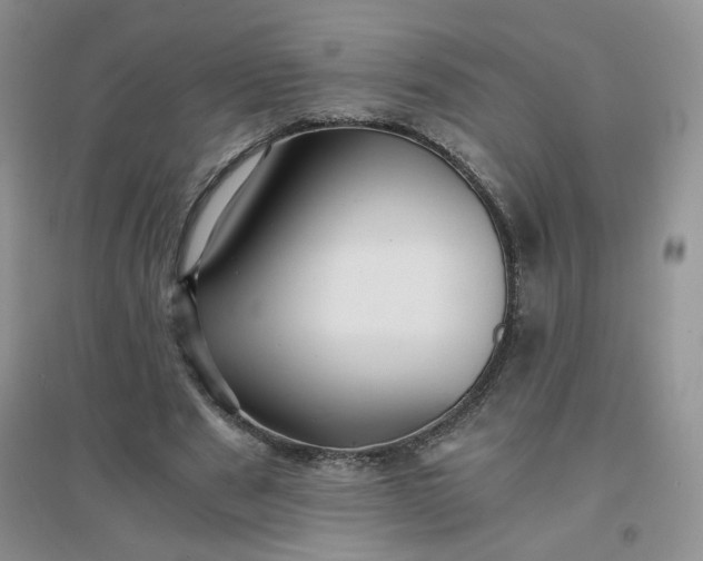 X0000096380489200802071517