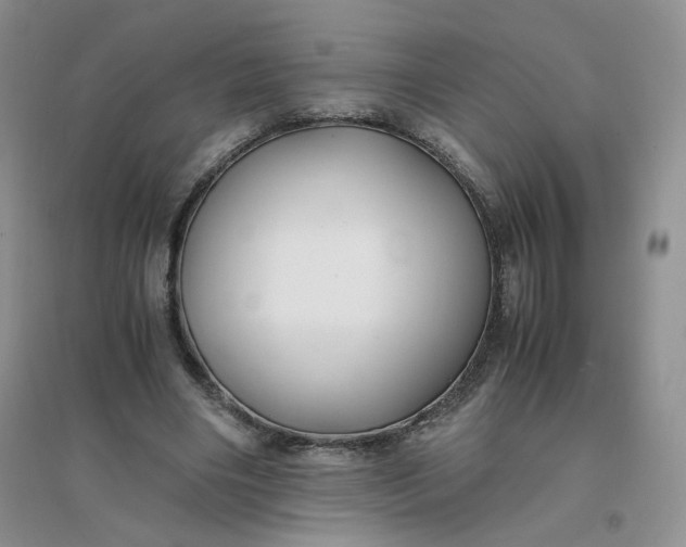 X0000096380490200802071517