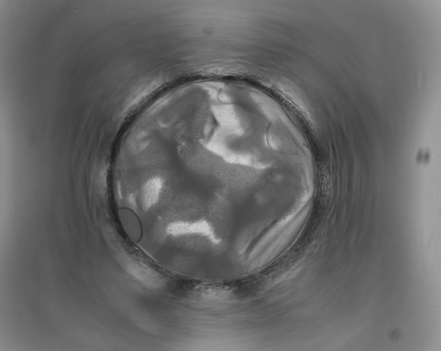 X0000096380491200802071517