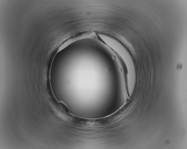 X0000096380493200802071516