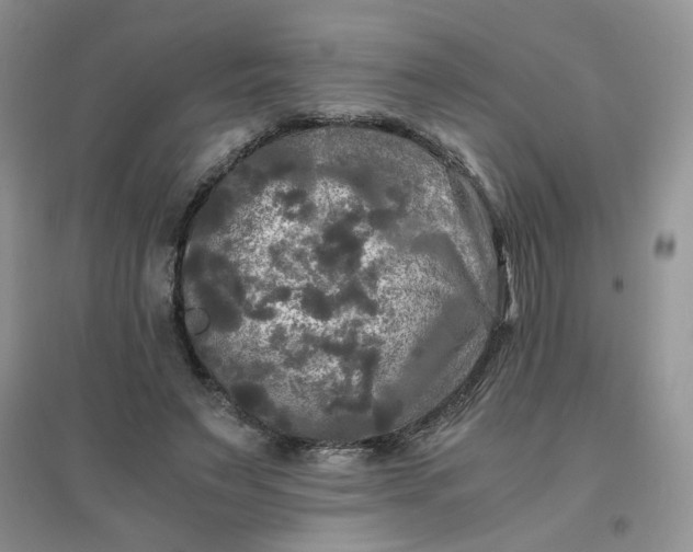 X0000096380495200802071516