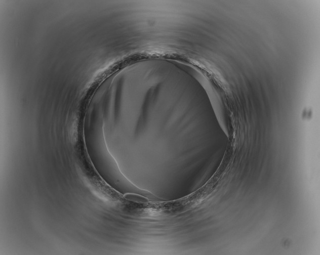 X0000096380496200802071516