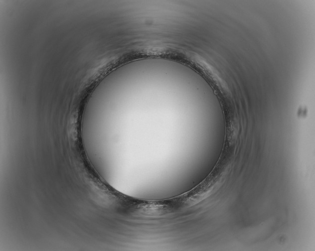 X0000096380497200802071516