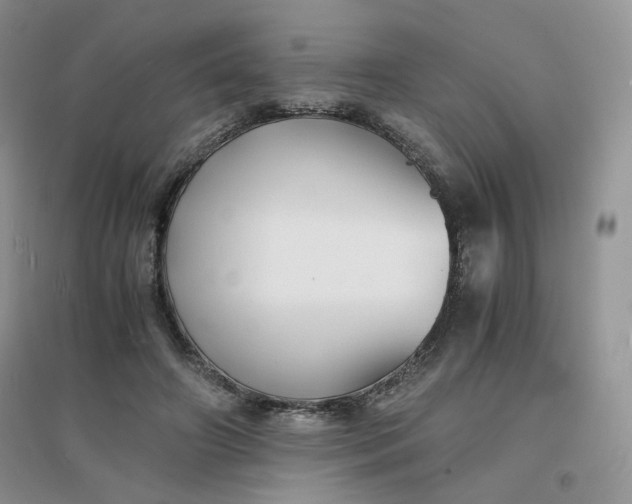 X0000096380498200802071516